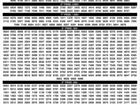 Kerala Lottery Vishu Bumper BR 103 Result
