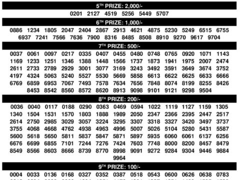 KARUNYA KR 733 Result 06 December 2025 3PM| Check Winners