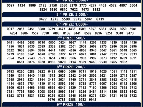 DL-56 Lottery Result 10 June 2026 Kerala State